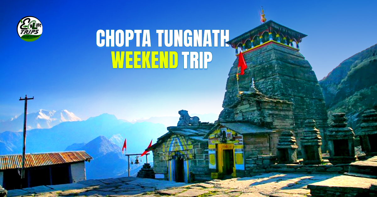 A Complete Travel Guide for Chopta Tungnath Chandrashila Trek in Summer